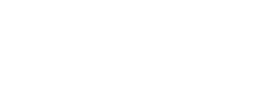 Mistral AI Data Hat AI Partners logo